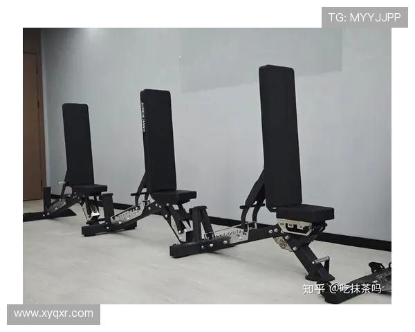 预算有限也能高效锻炼高性价比健身器材推荐清单