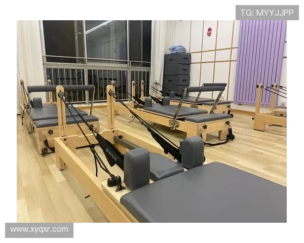 高拉力训练器的多种训练技巧与肌肉塑形