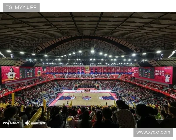 浙江有几支CBA球队？地区篮球文化解读